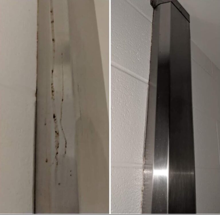 WhatsApp Image 2025-09-13 at 10.56.21_5d461dcc